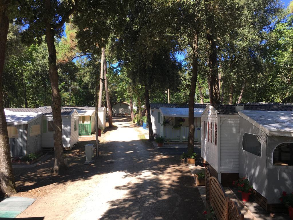 Camping Les Chenes Verts Мешер-сюр-Жиронд Экстерьер фото